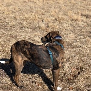 Meet your Posher, Taryn